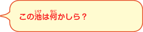 この池は何かしら