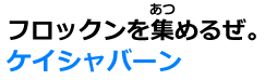 ケイシャバーン