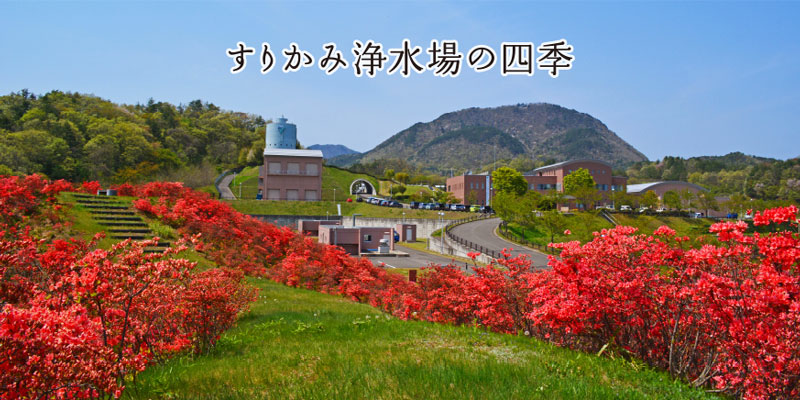 ツツジ山から見たすりかみ浄水場