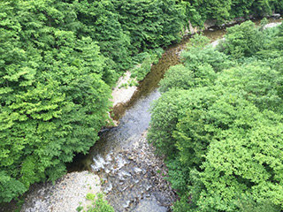 摺上川上流域の画像