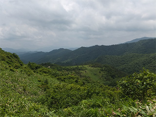 鳩峰峠からダム集水域の画像